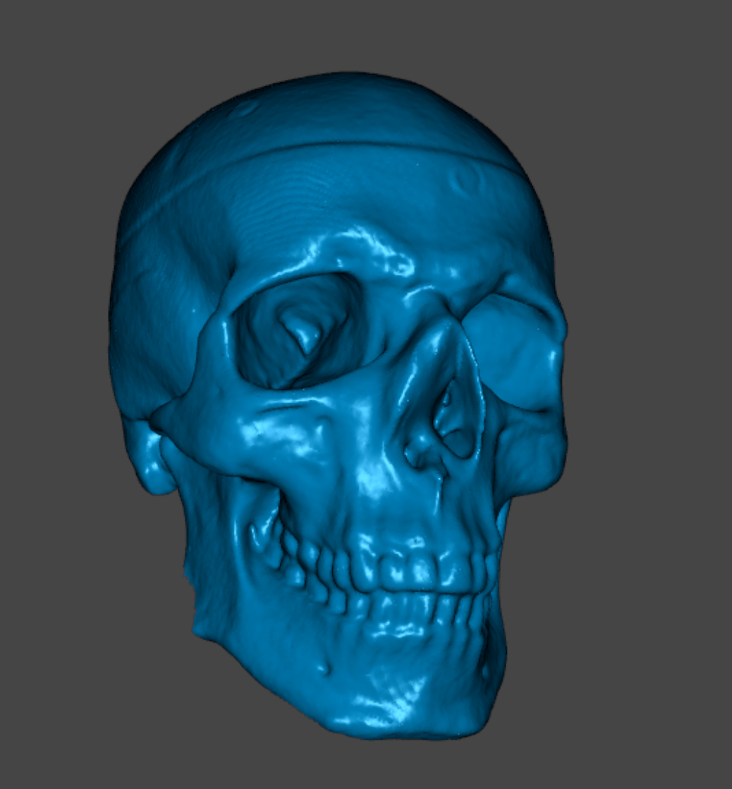 skull nir large normal