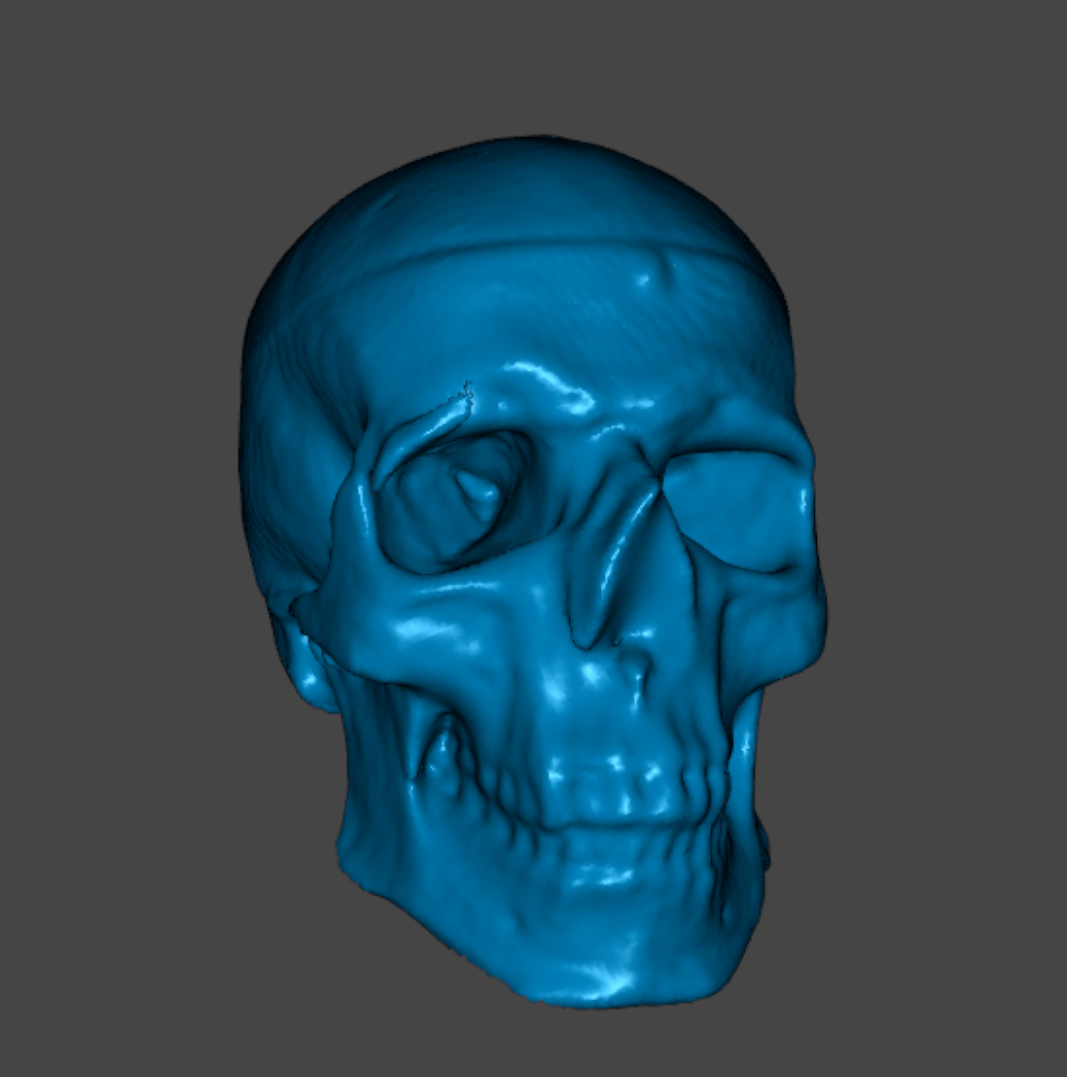 skull nir large wideangle
