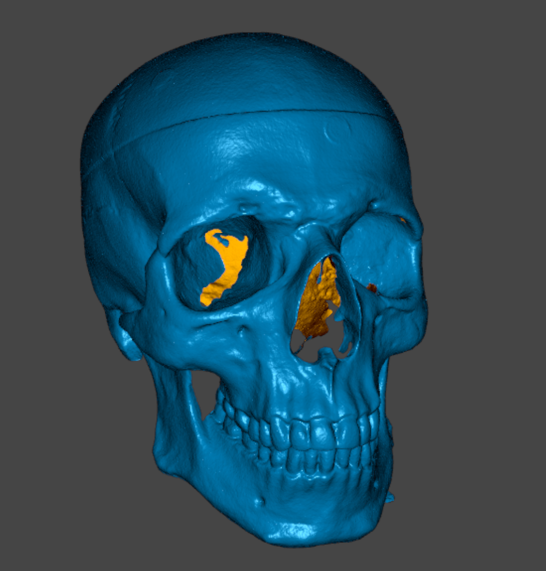 skull nir small